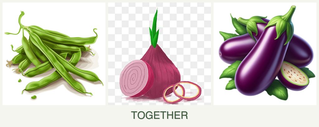 Can you plant beans, onions and eggplant together?