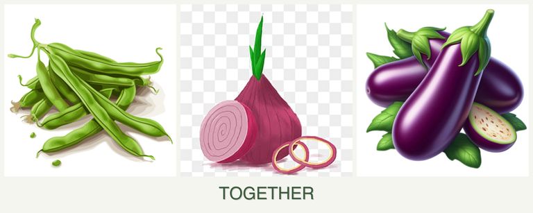 Can you plant beans, onions and eggplant together?