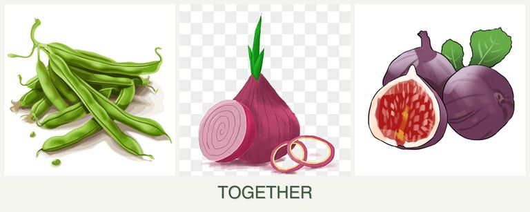 Can you plant beans, onions and figs together?