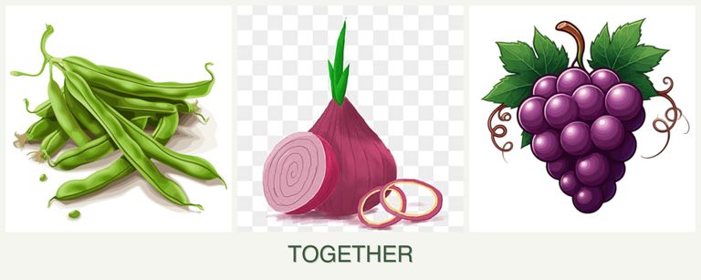 Can you plant beans, onions and grapes together?