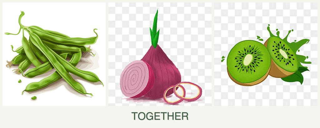 Can you plant beans, onions and kiwi together?