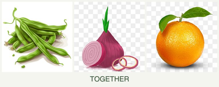 Can you plant beans, onions and oranges together?