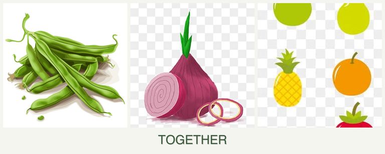 Can you plant beans, onions and pears together?