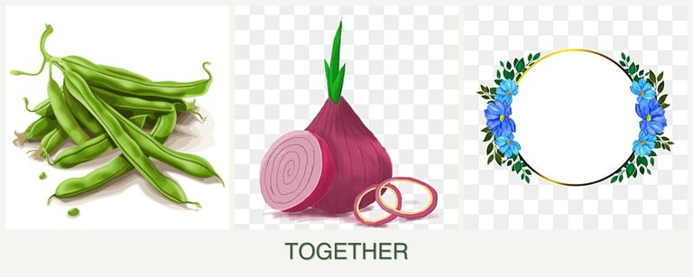 Can you plant beans, onions and zinnias together?
