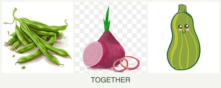 Can you plant beans, onions and zucchini together?