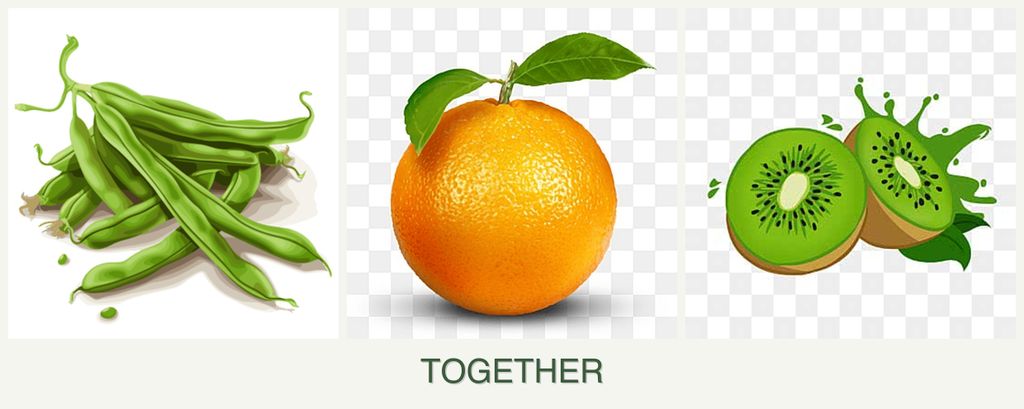 Can you plant beans, oranges and kiwi together?