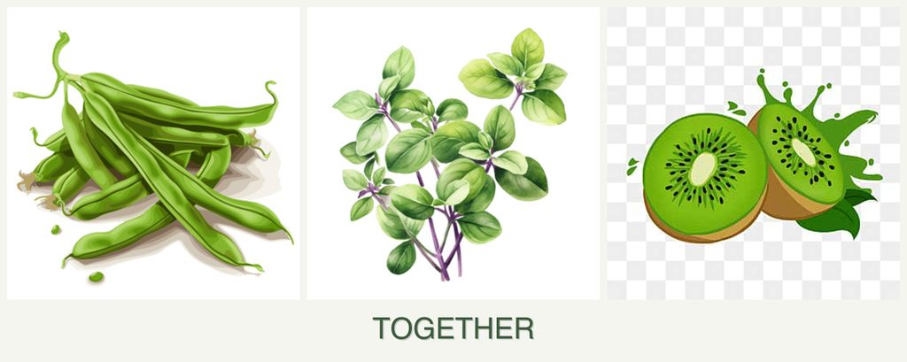 Can you plant beans, oregano and kiwi together?
