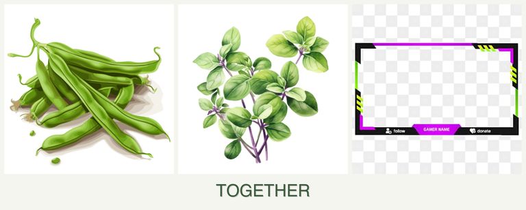 Can you plant beans, oregano and limes together?
