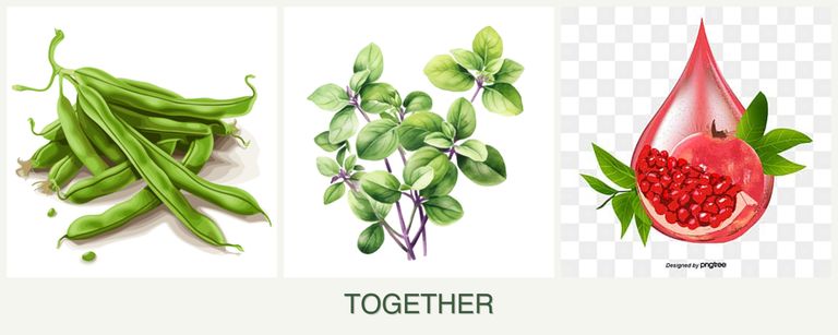 Can you plant beans, oregano and pomegranates together?