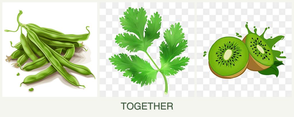 Can you plant beans, parsley and kiwi together?