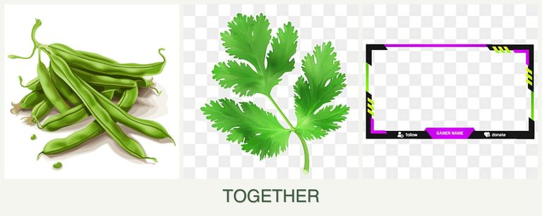 Can you plant beans, parsley and limes together?
