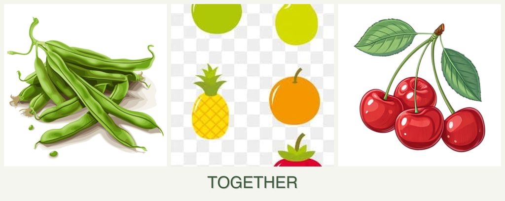 Can you plant beans, pears and cherries together?