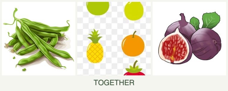 Can you plant beans, pears and figs together?