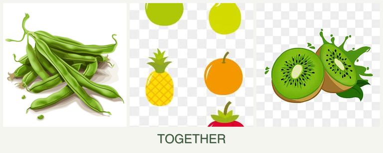 Can you plant beans, pears and kiwi together?