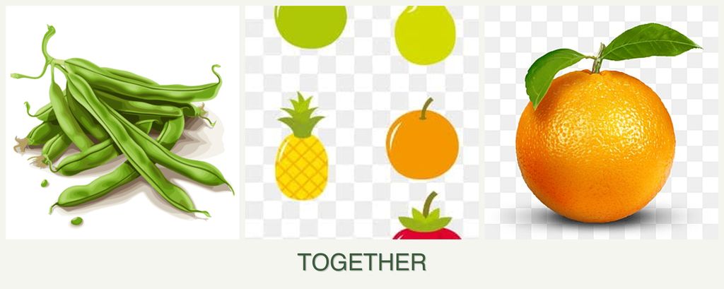 Can you plant beans, pears and oranges together?