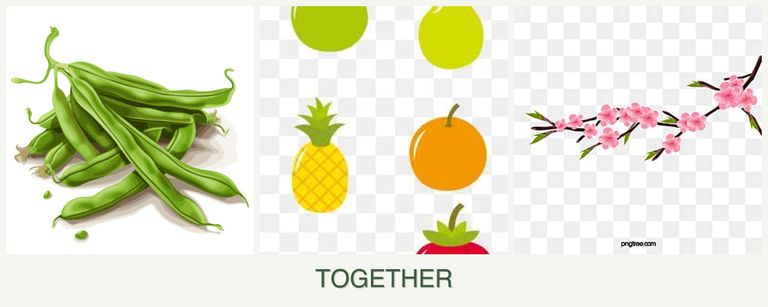 Can you plant beans, pears and peaches together?