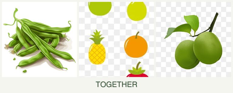 Can you plant beans, pears and plums together?