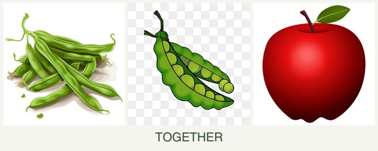 Can you plant beans, peas and apples together?