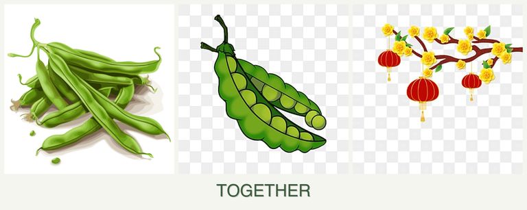 Can you plant beans, peas and apricots together?