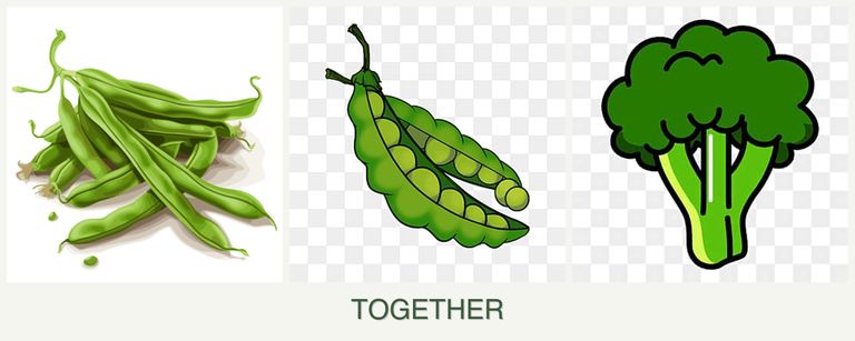 Can you plant beans, peas and broccoli together?