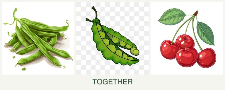 Can you plant beans, peas and cherries together?