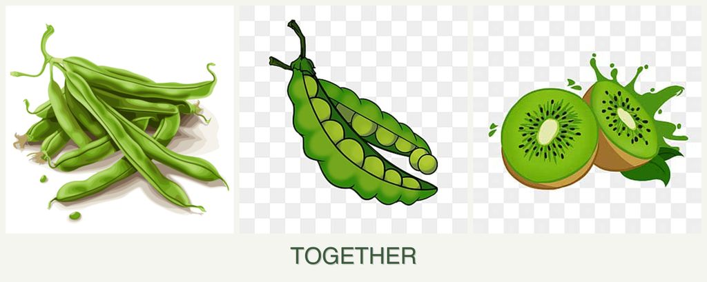 Can you plant beans, peas and kiwi together?