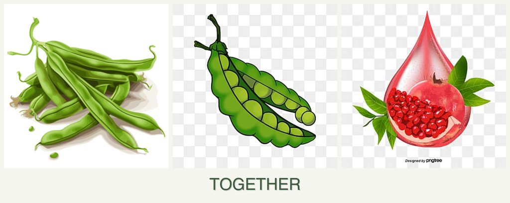 Can you plant beans, peas and pomegranates together?