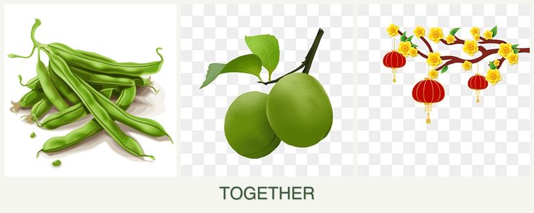 Can you plant beans, plums and apricots together?