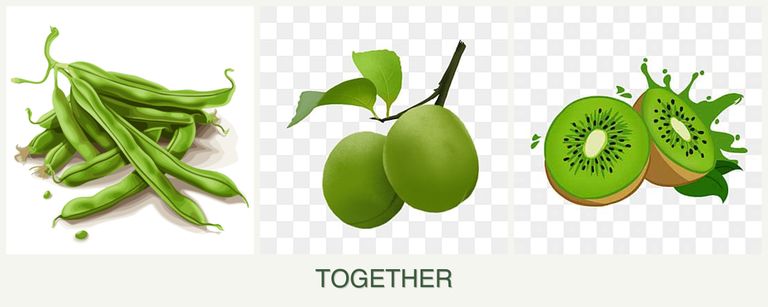 Can you plant beans, plums and kiwi together?