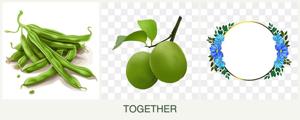 Can you plant beans, plums and zinnias together?