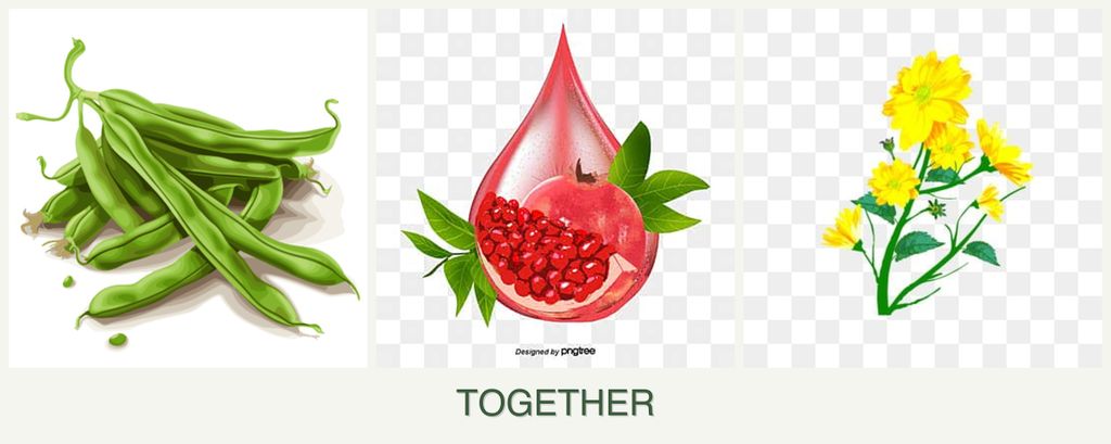 Can you plant beans, pomegranates and calendula together?
