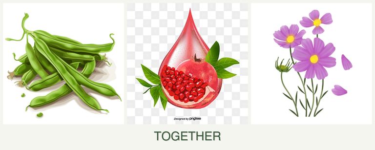 Can you plant beans, pomegranates and cosmos together?