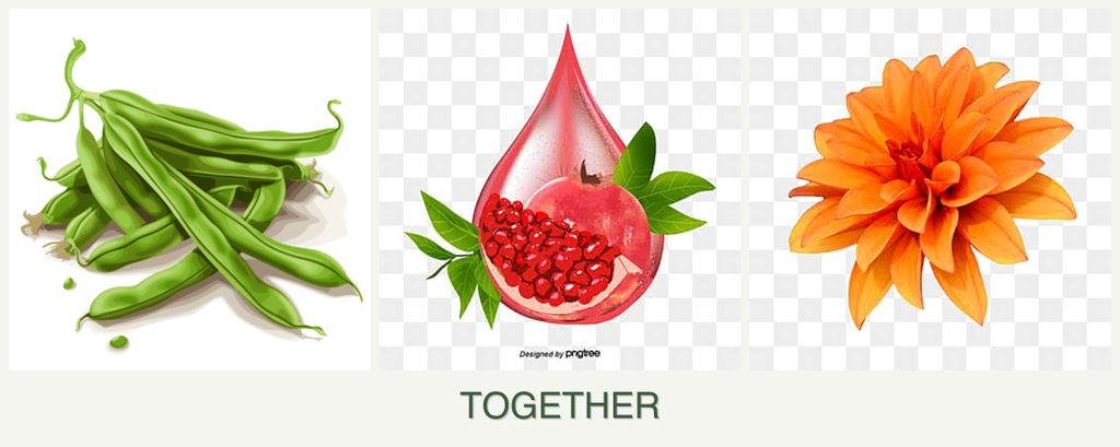 Can you plant beans, pomegranates and dahlias together?