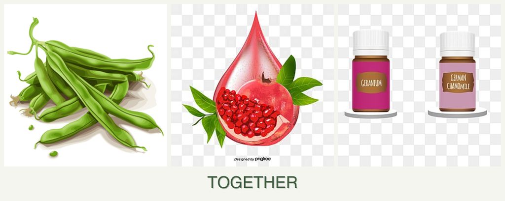 Can you plant beans, pomegranates and geraniums together?