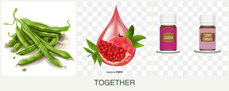 Can you plant beans, pomegranates and geraniums together?