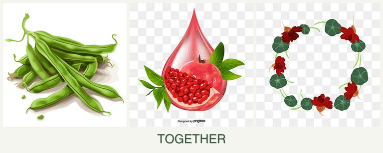 Can you plant beans, pomegranates and nasturtiums together?