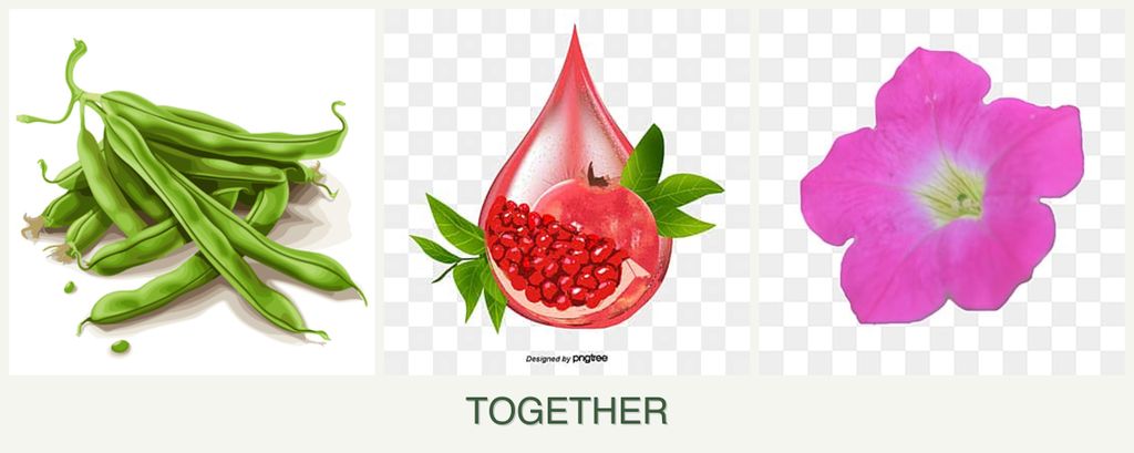 Can you plant beans, pomegranates and petunias together?
