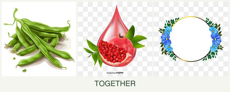 Can you plant beans, pomegranates and zinnias together?