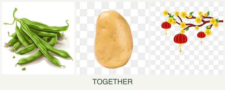 Can you plant beans, potatoes and apricots together?