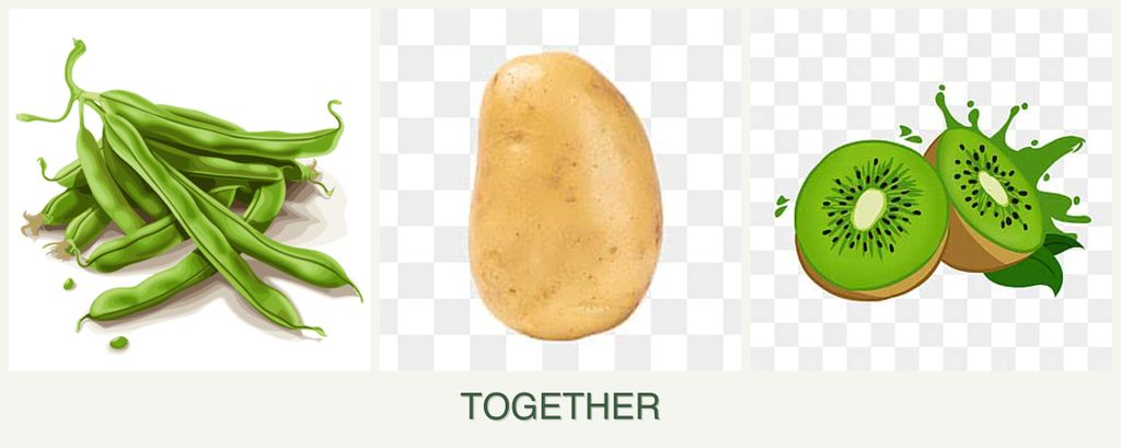 Can you plant beans, potatoes and kiwi together?