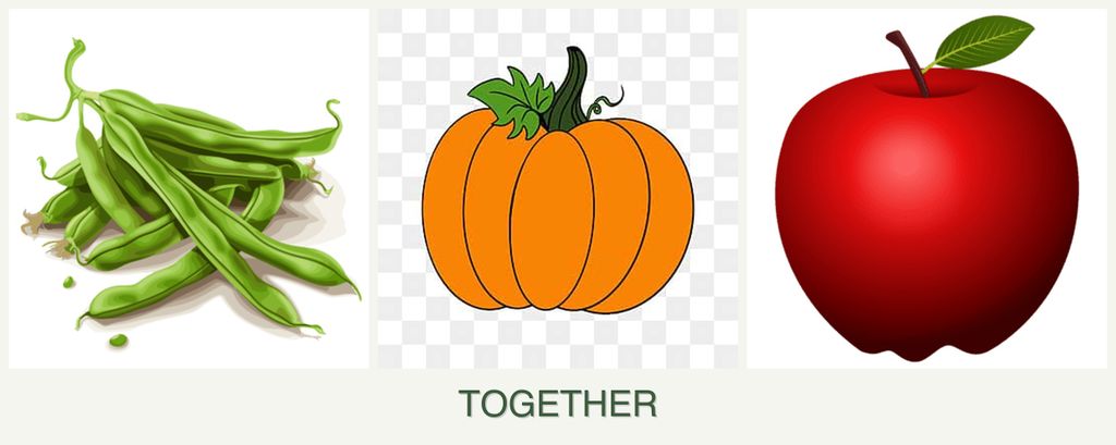 Can you plant beans, pumpkin and apples together?
