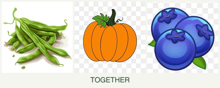 Can you plant beans, pumpkin and blueberries together?