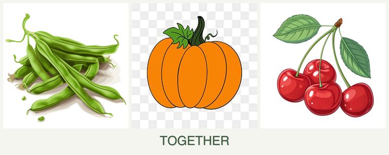 Can you plant beans, pumpkin and cherries together?