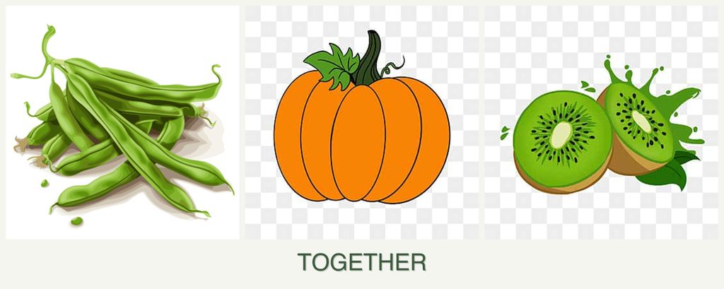 Can you plant beans, pumpkin and kiwi together?