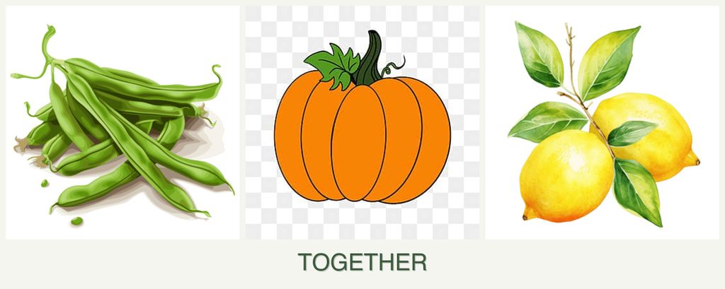 Can you plant beans, pumpkin and lemons together?