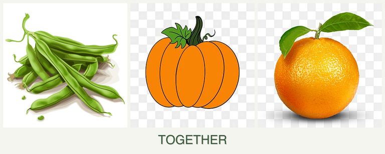 Can you plant beans, pumpkin and oranges together?