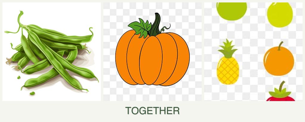 Can you plant beans, pumpkin and pears together?