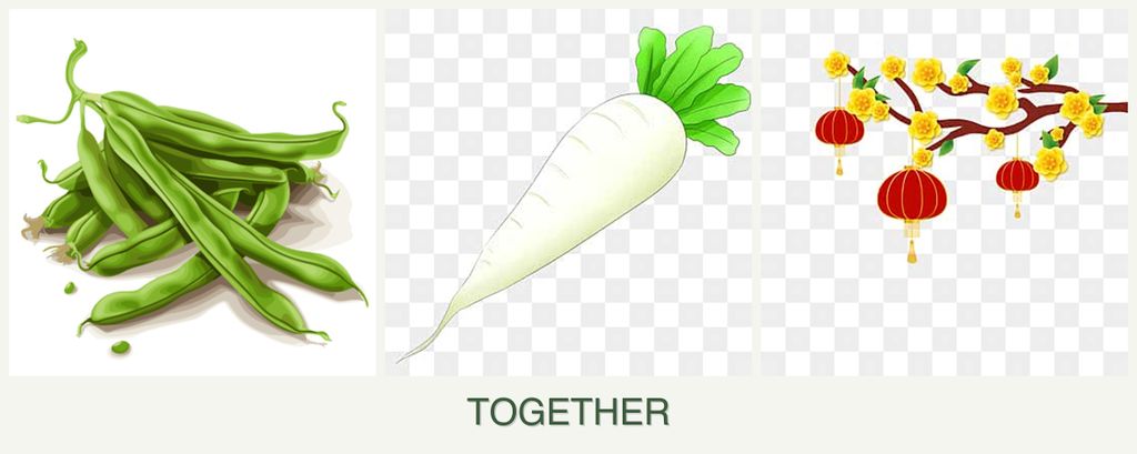 Can you plant beans, radishes and apricots together?