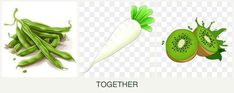 Can you plant beans, radishes and kiwi together?