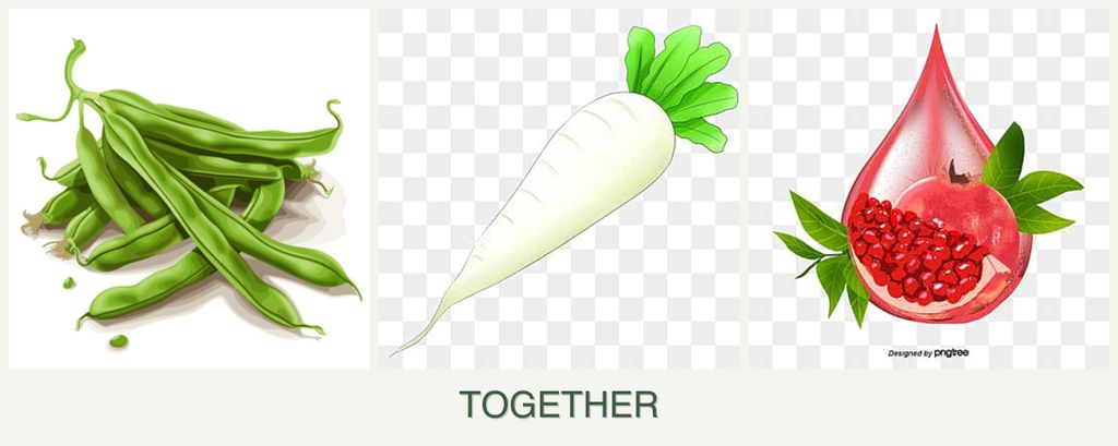 Can you plant beans, radishes and pomegranates together?